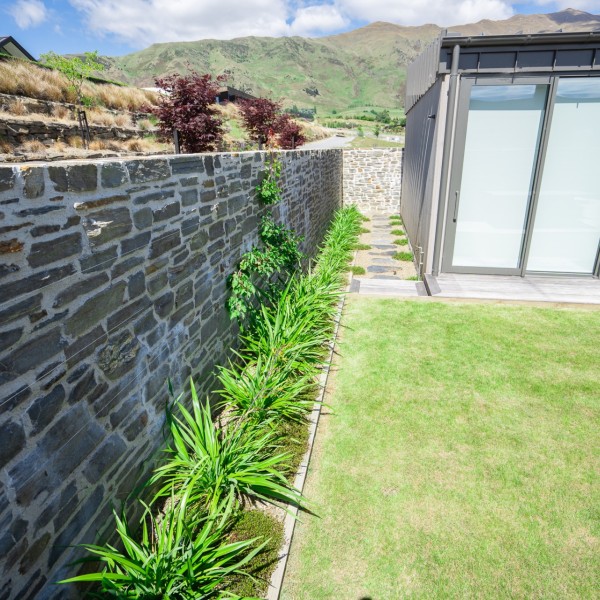Phormium + Muehlenbeckia - Flat Pack 10m