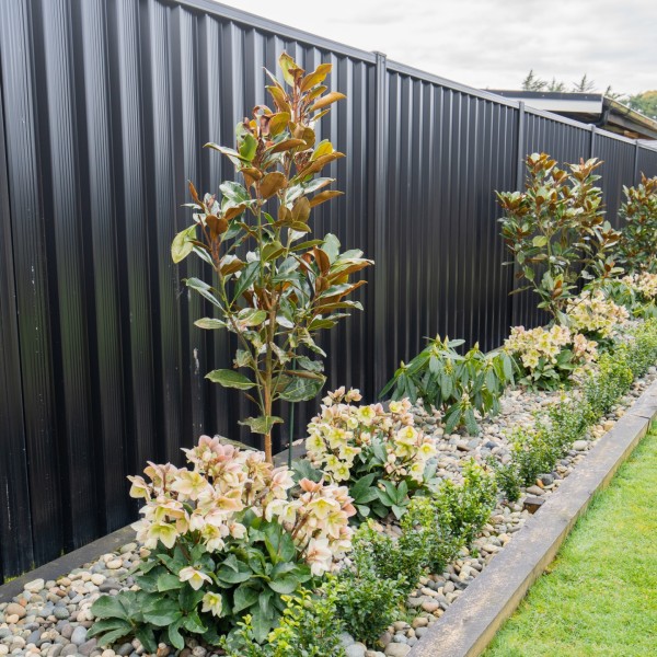 Magnolia + Helleborus + Rhododendron + Buxus - Flat Pack 10m