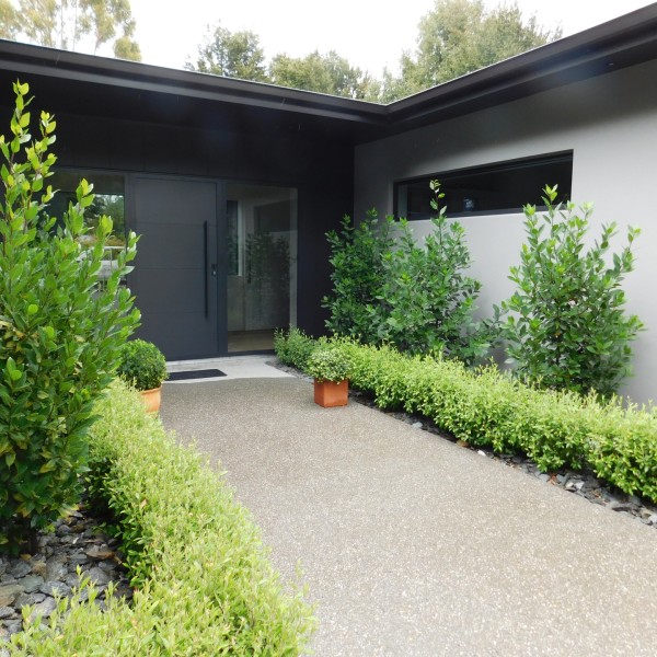 Laurus + Corokia - Flat Pack 10m