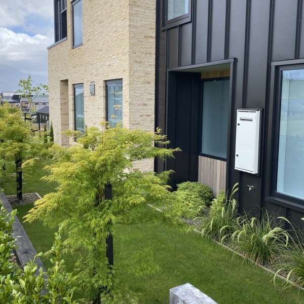 Griselinia + Acer + Chionochloa - Flat Pack 12m