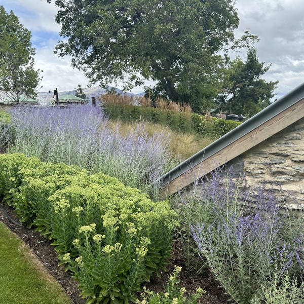 Sedum + Perovskia + Calamagrostis - Flat Pack 12m