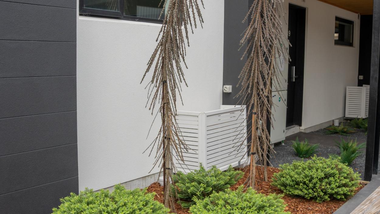 Hebe Wiri mist (1) (1)