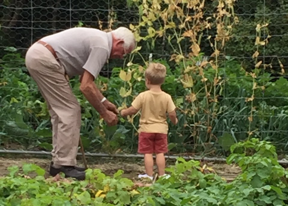 grandad blog