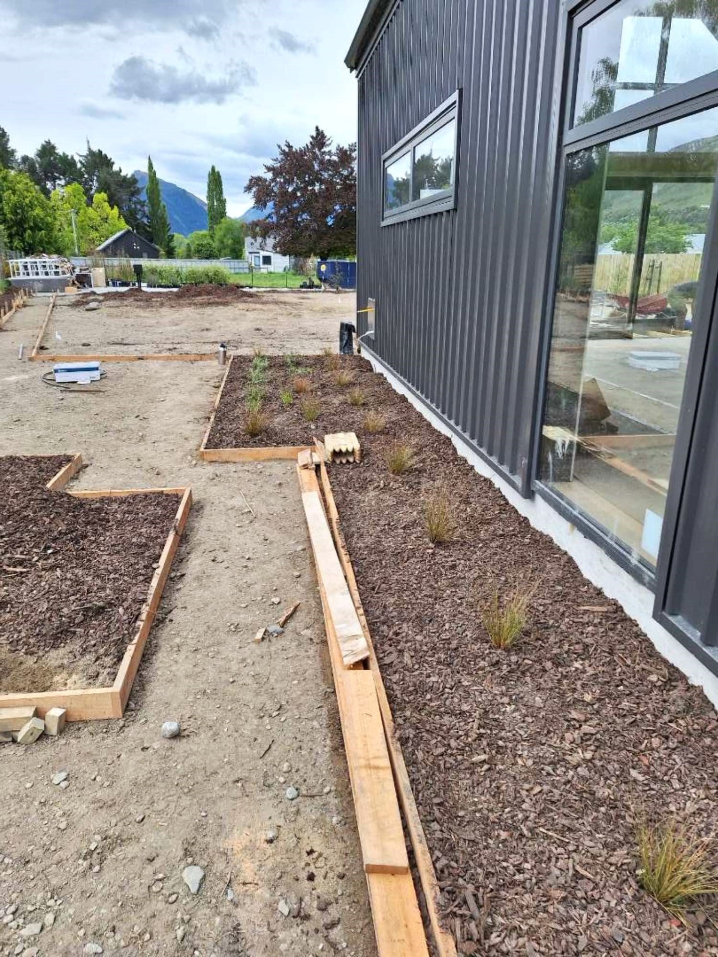 At planting (2)