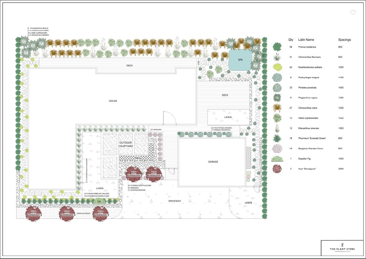 Luman Plan