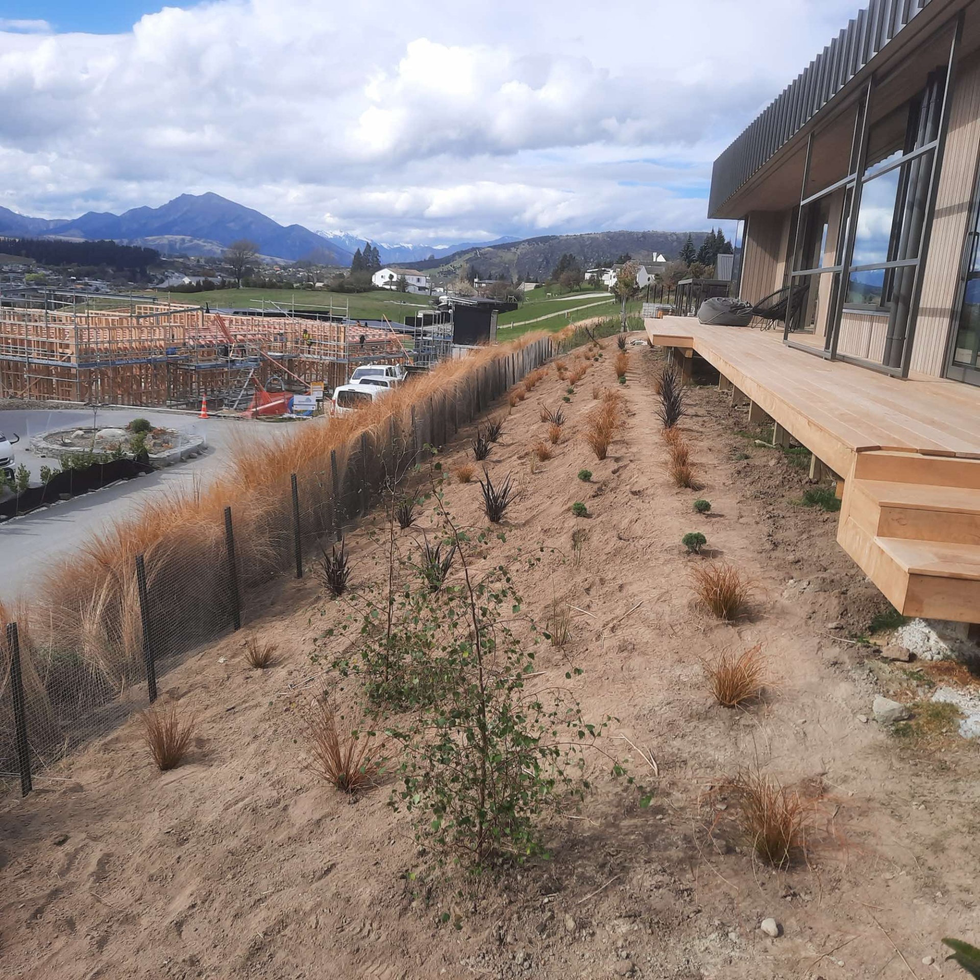 At Planting (3)