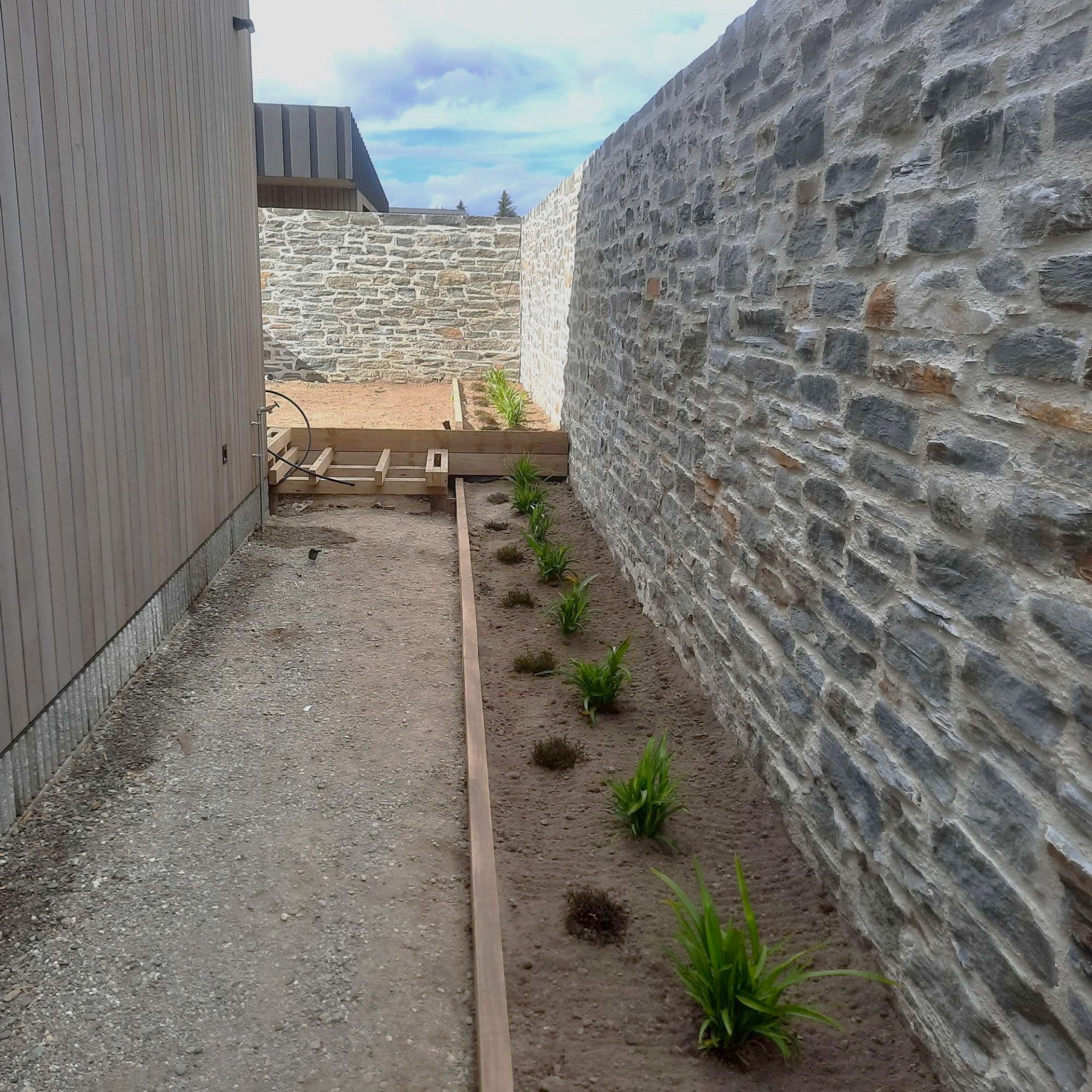 At planting (4)