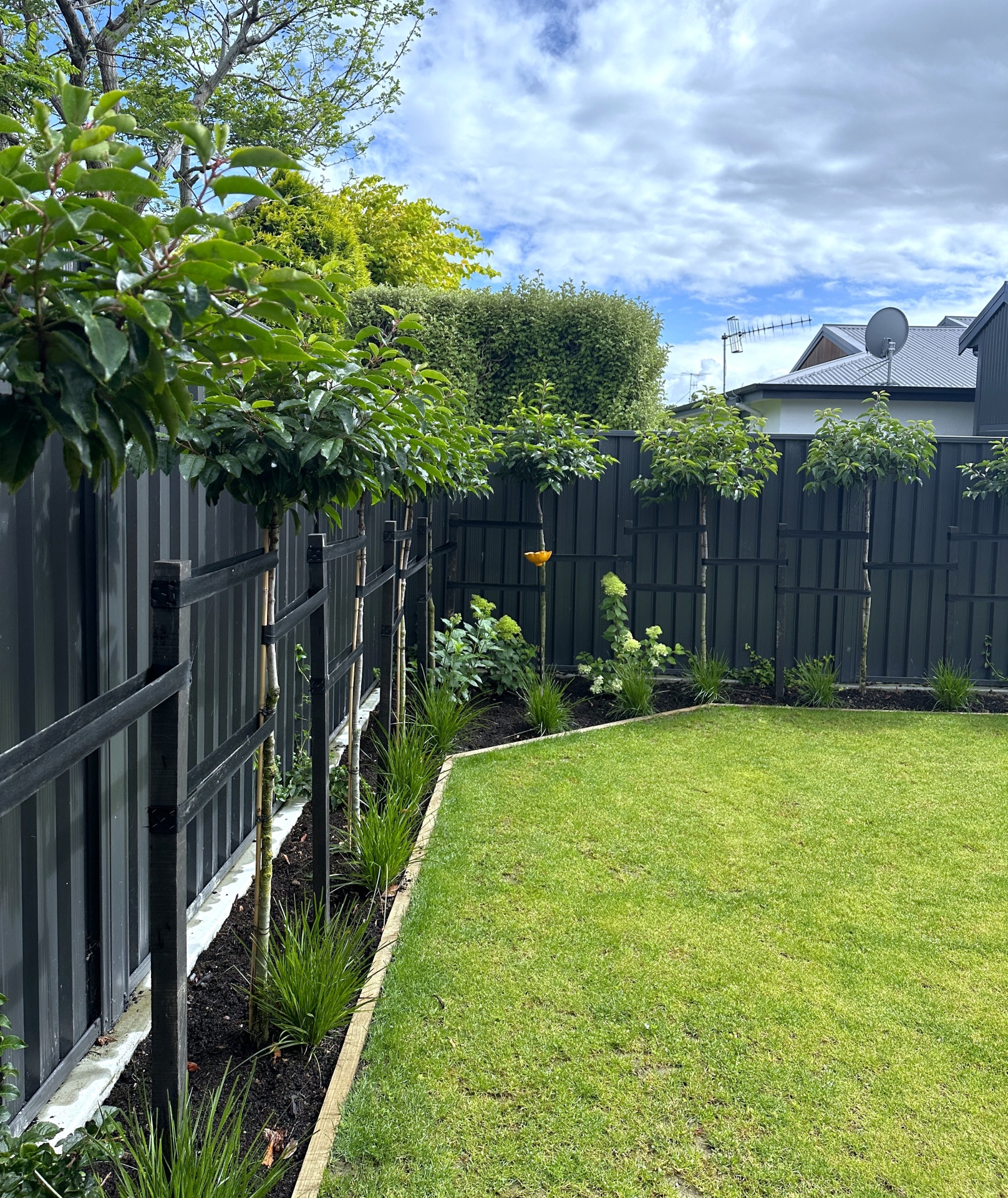 lawn