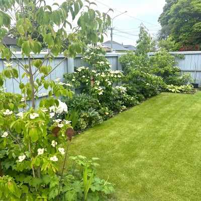 An Urban Garden Refresh