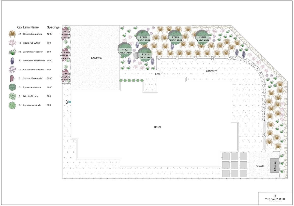 Plan1