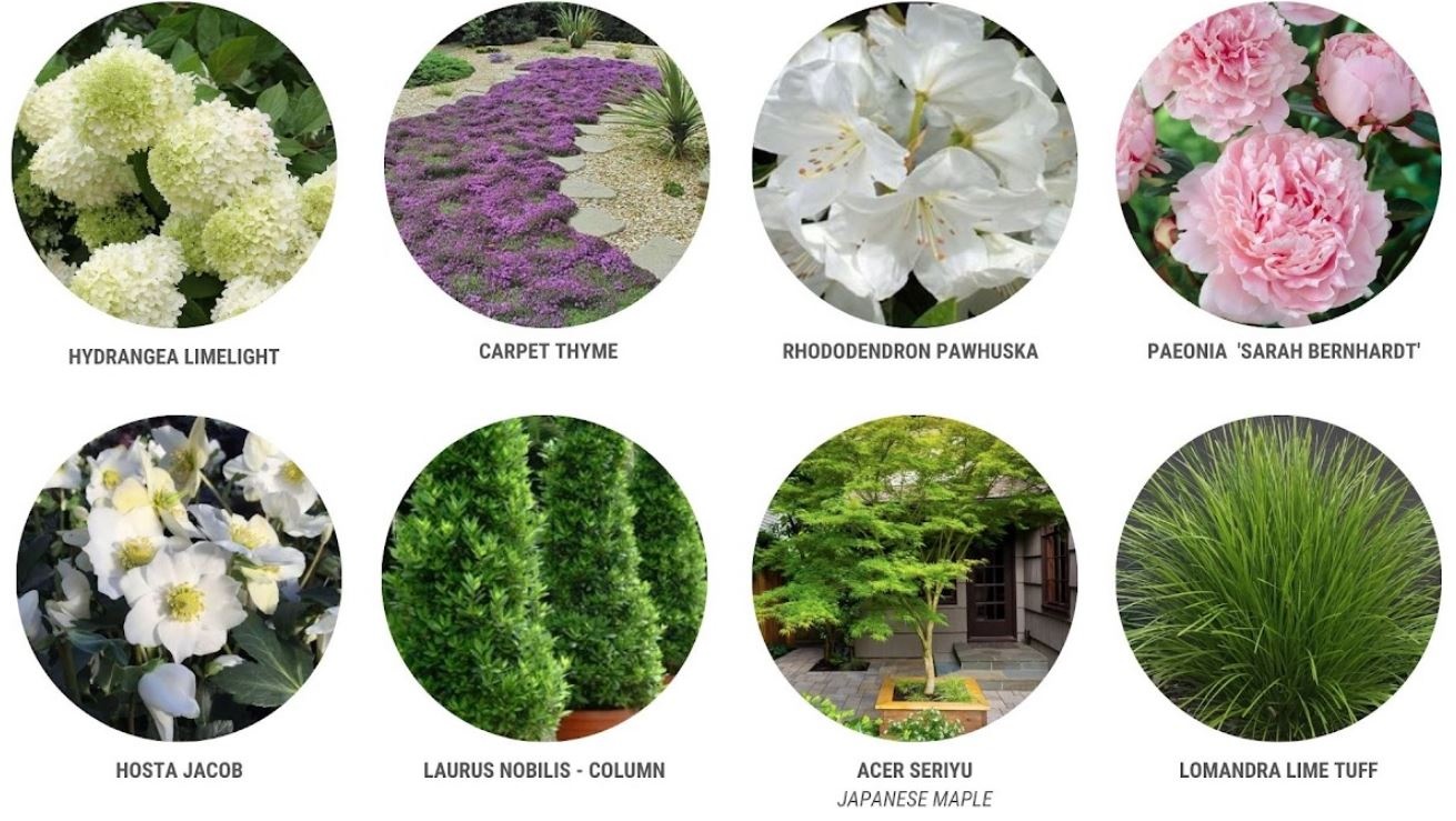 Plant Palette -