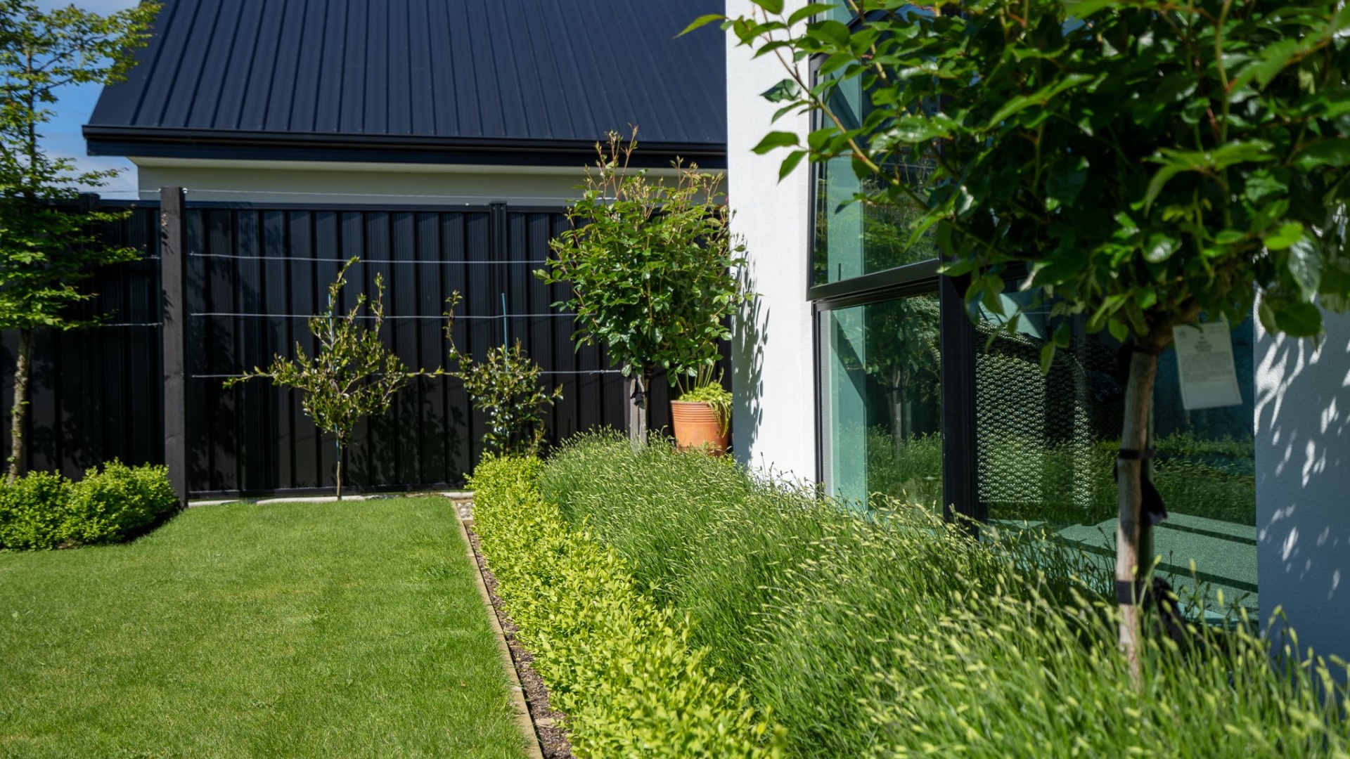 Iceberg Roses - Lavender - Buxus (1)