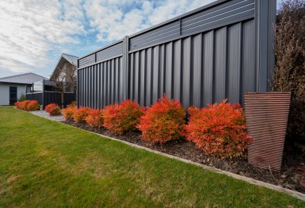 Nandina Gulfstream (2)