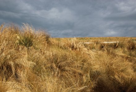 Copy of IMG_9752 (1)