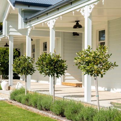 Garden Design NZ: How The Plant Store Helps You Create a Garden That Works