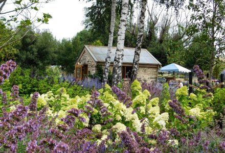 ayrburn-nepeta-limelights-salvia (1)