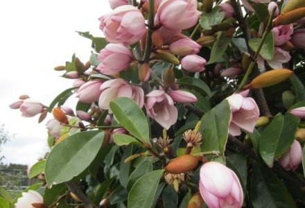 157009_20230808162232-1691468552_postcard