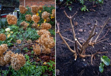 Copy of Design ADs  Square Ad Templates V1 (5)