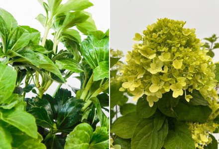 Copy of Design ADs  Square Ad Templates V1 (7)