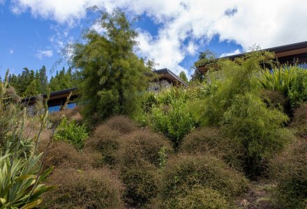three-layers-nz-native-garden