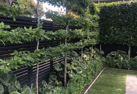 three-layers-formal-garden