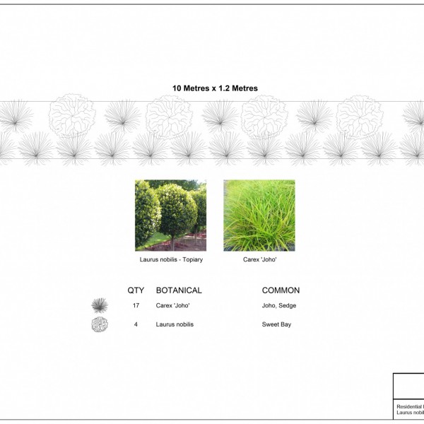 Laurus nobilis + Carex Joho - Flat Pack 10m