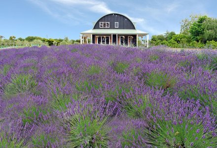 coatesville-wedding-venue