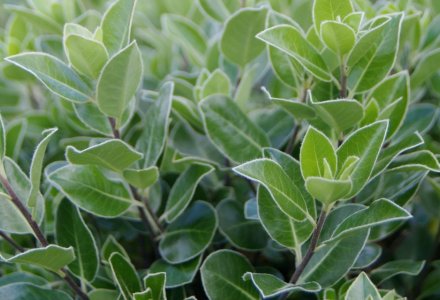 8390827304_97043f95f4_b