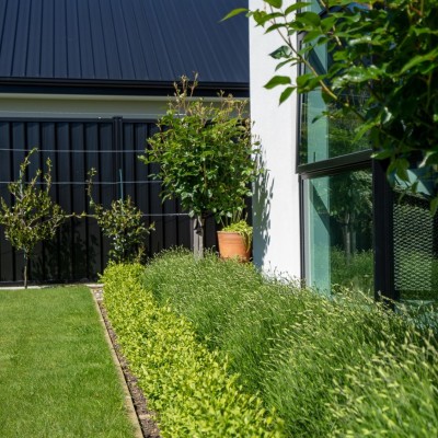 Garden Design #9