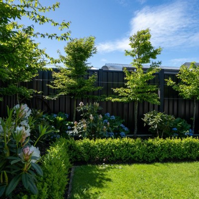 Garden #12